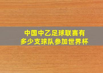 中国中乙足球联赛有多少支球队参加世界杯