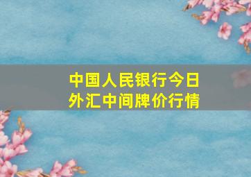 中国人民银行今日外汇中间牌价行情