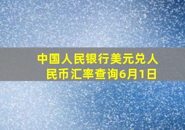 中国人民银行美元兑人民币汇率查询6月1日