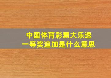 中国体育彩票大乐透一等奖追加是什么意思