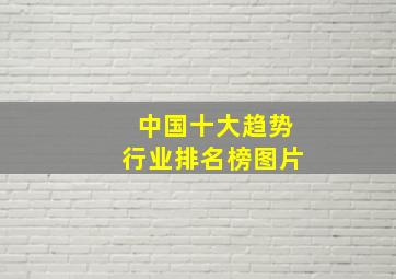 中国十大趋势行业排名榜图片