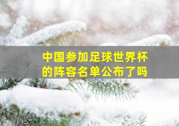 中国参加足球世界杯的阵容名单公布了吗