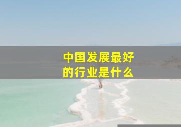 中国发展最好的行业是什么