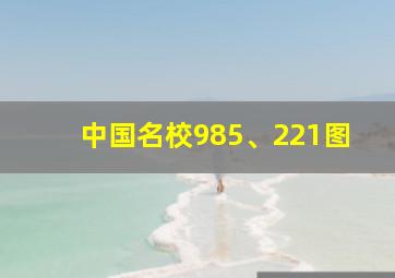 中国名校985、221图