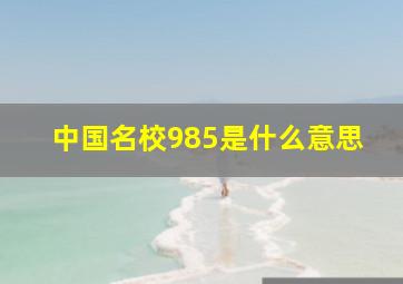 中国名校985是什么意思