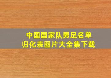 中国国家队男足名单归化表图片大全集下载