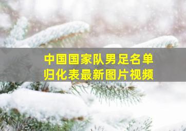 中国国家队男足名单归化表最新图片视频