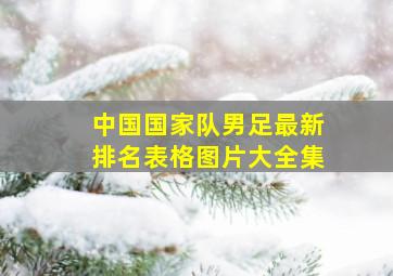 中国国家队男足最新排名表格图片大全集