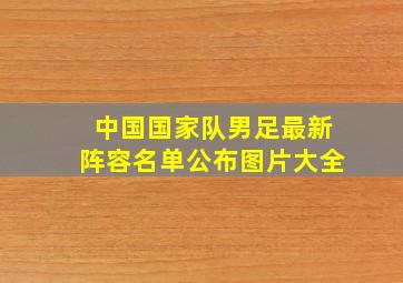 中国国家队男足最新阵容名单公布图片大全