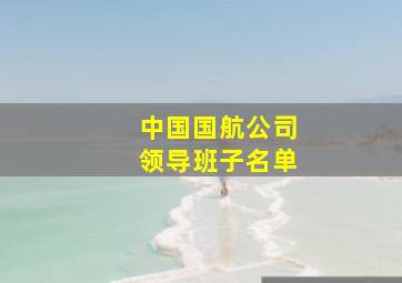 中国国航公司领导班子名单