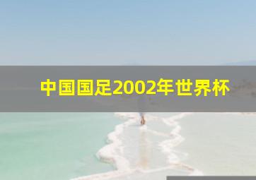 中国国足2002年世界杯