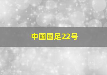 中国国足22号