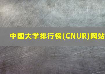 中国大学排行榜(CNUR)网站