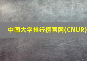 中国大学排行榜官网(CNUR)