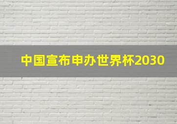 中国宣布申办世界杯2030