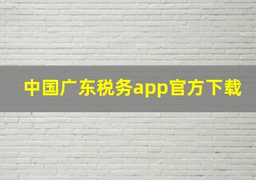 中国广东税务app官方下载