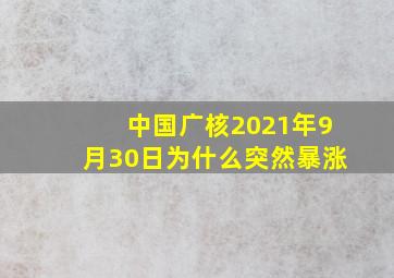 中国广核2021年9月30日为什么突然暴涨