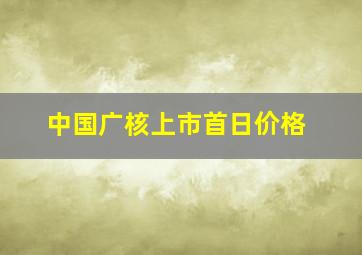 中国广核上市首日价格