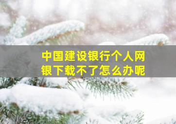 中国建设银行个人网银下载不了怎么办呢