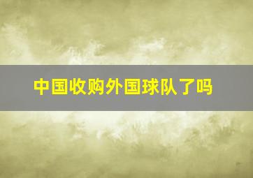 中国收购外国球队了吗