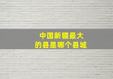 中国新疆最大的县是哪个县城