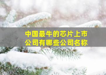 中国最牛的芯片上市公司有哪些公司名称