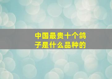 中国最贵十个鸽子是什么品种的