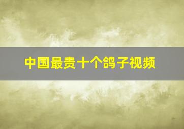 中国最贵十个鸽子视频