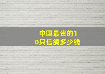 中国最贵的10只信鸽多少钱