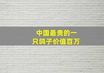 中国最贵的一只鸽子价值百万