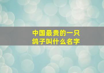 中国最贵的一只鸽子叫什么名字