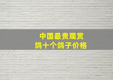 中国最贵观赏鸽十个鸽子价格