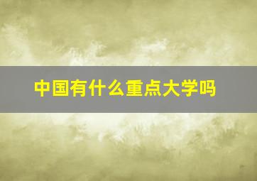 中国有什么重点大学吗