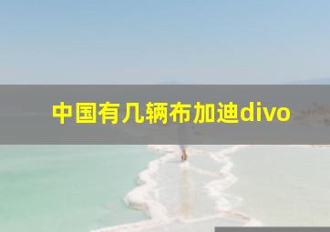 中国有几辆布加迪divo