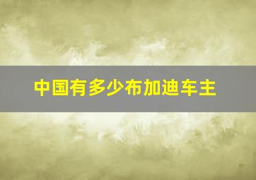 中国有多少布加迪车主