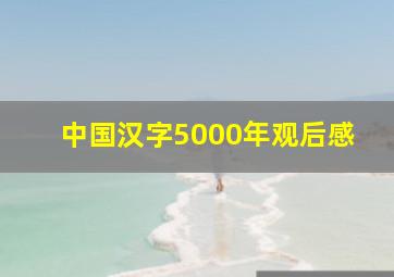 中国汉字5000年观后感