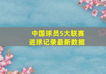 中国球员5大联赛进球记录最新数据