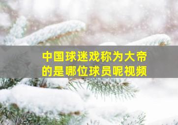 中国球迷戏称为大帝的是哪位球员呢视频