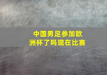 中国男足参加欧洲杯了吗现在比赛