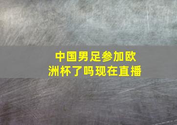 中国男足参加欧洲杯了吗现在直播