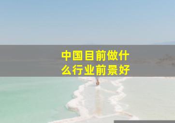 中国目前做什么行业前景好