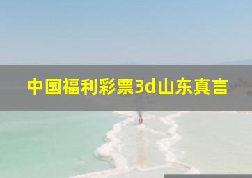 中国福利彩票3d山东真言