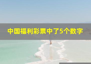 中国福利彩票中了5个数字