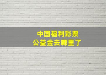 中国福利彩票公益金去哪里了