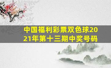 中国福利彩票双色球2021年第十三期中奖号码