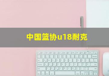 中国篮协u18耐克