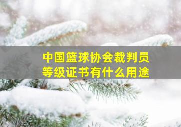 中国篮球协会裁判员等级证书有什么用途