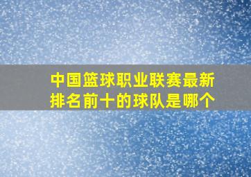 中国篮球职业联赛最新排名前十的球队是哪个