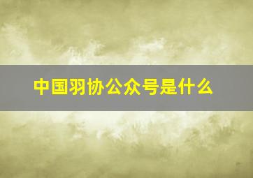 中国羽协公众号是什么