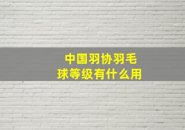 中国羽协羽毛球等级有什么用